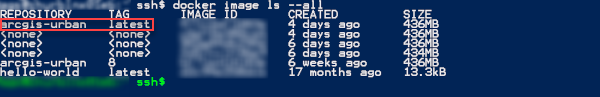Example output of the docker console check